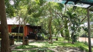 Un espacio al aire libre cubierto con una estructura de madera, rodeado de abundante follaje y árboles.