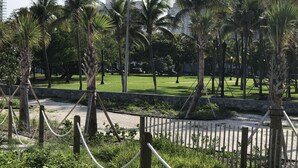 A park with palm trees, a grassy area, and a paved path.