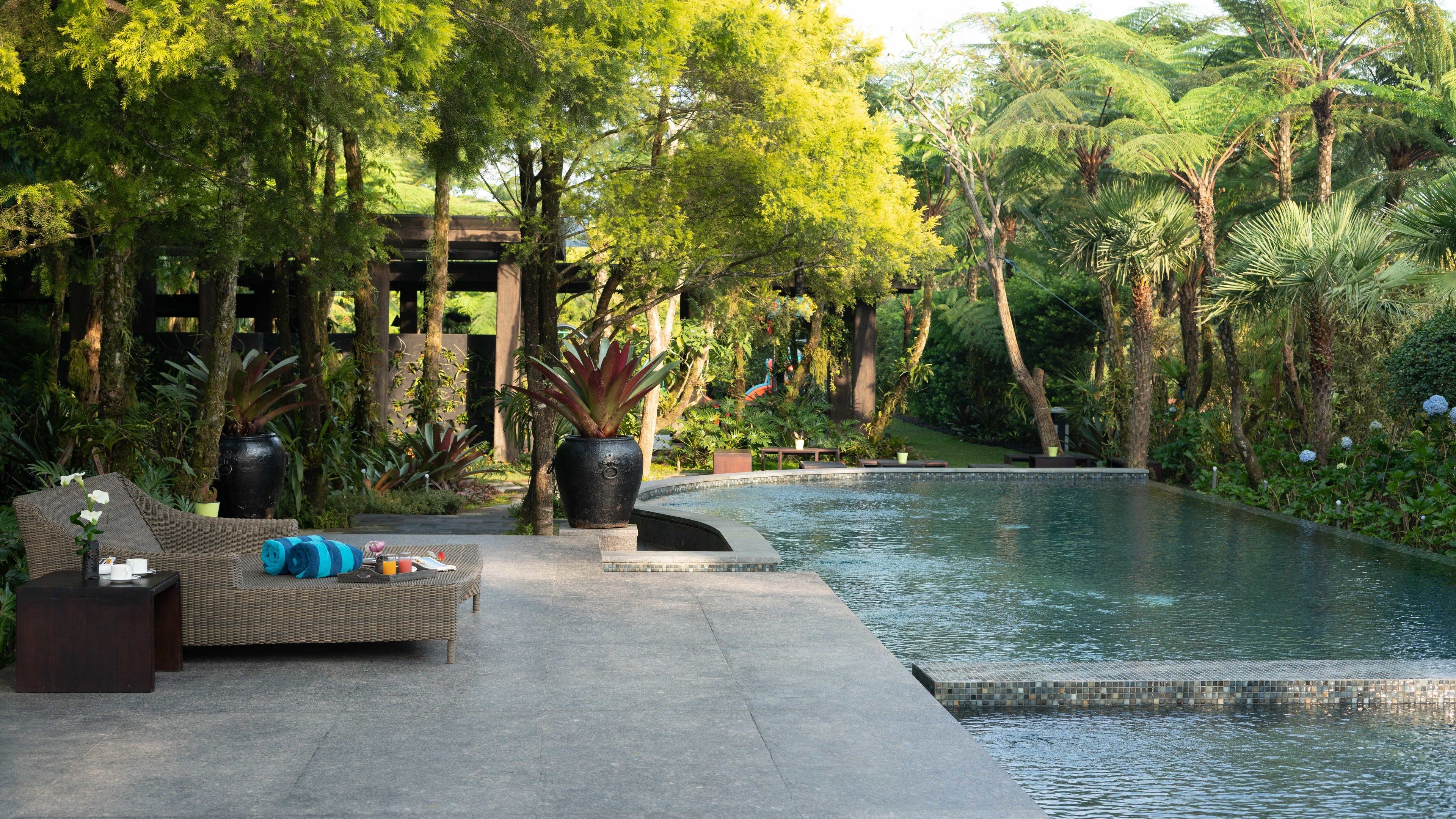 A serene outdoor area with a pool, surrounded by lush greenery and a seating area with a wicker sofa and a small table.