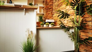 Une cuisine moderne avec des meubles blancs, un mur d’accent en bois et diverses plantes en pot.