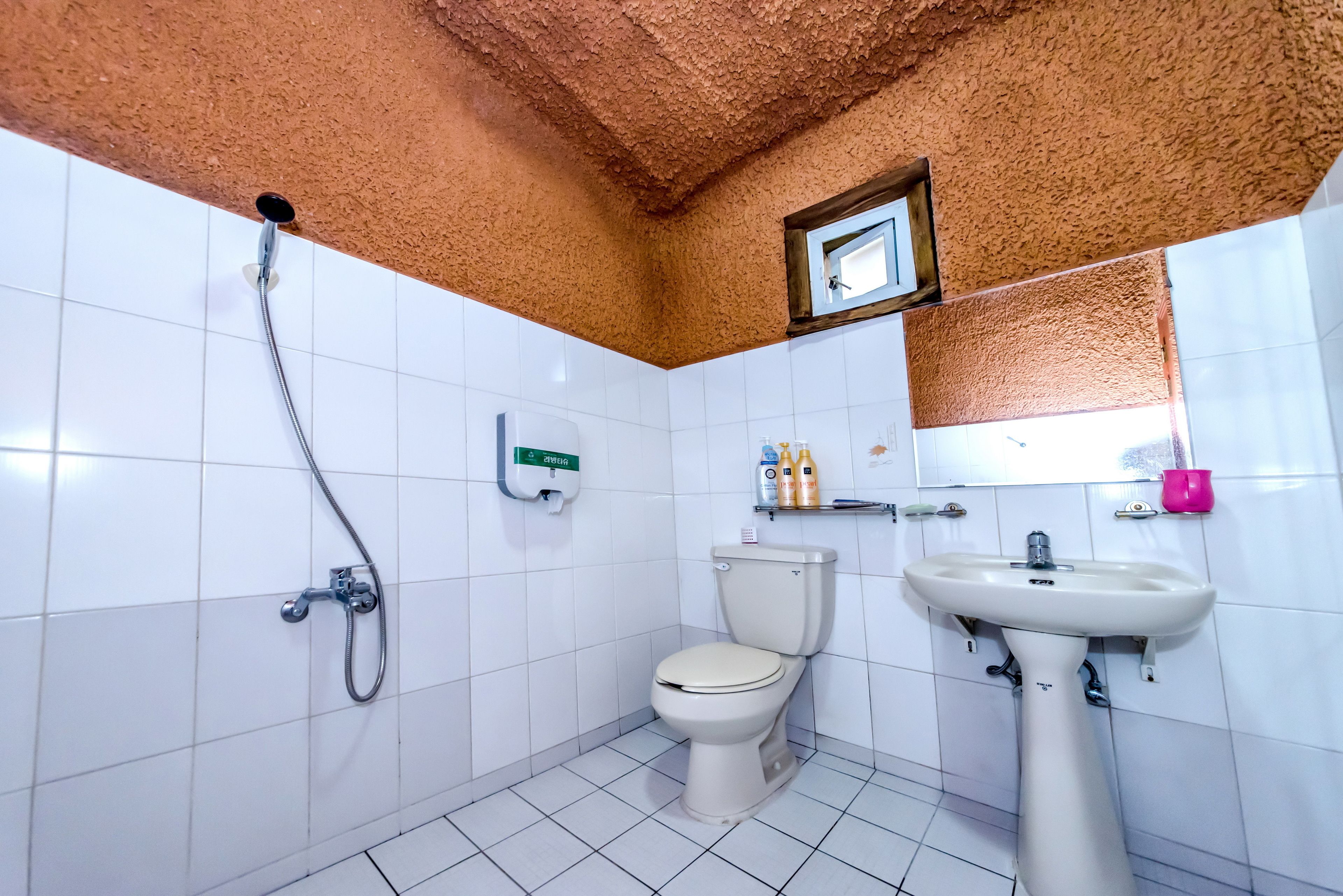 Room (24py) | Bathroom | Shower, towels, soap, shampoo