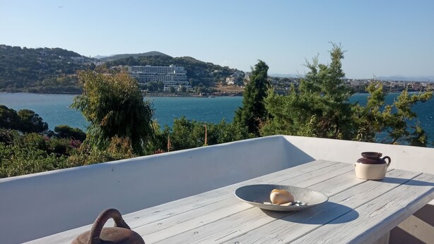 Exterior - Villa Artemis near Athens Airport (Markopoulo Mesogaias)
