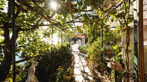 A sunlit garden path with a pergola, stone steps, and various plants. - Orto Paradiso (Minori)
