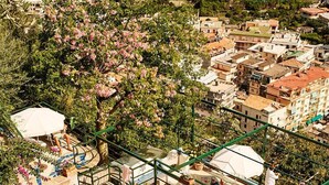 A rooftop swimming pool with a view of a terraced village. - Orto Paradiso (Minori)