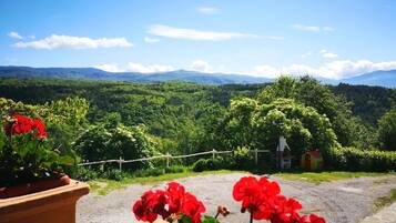 Blick vom Balkon