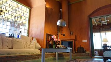 Una televisión, una chimenea, un reproductor de DVD, una videoteca