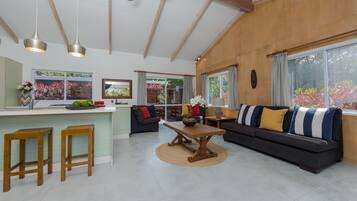 Téléviseur connecté, lecteur de DVD, livres