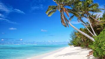 Plage à proximité, chaise longue, serviettes de plage