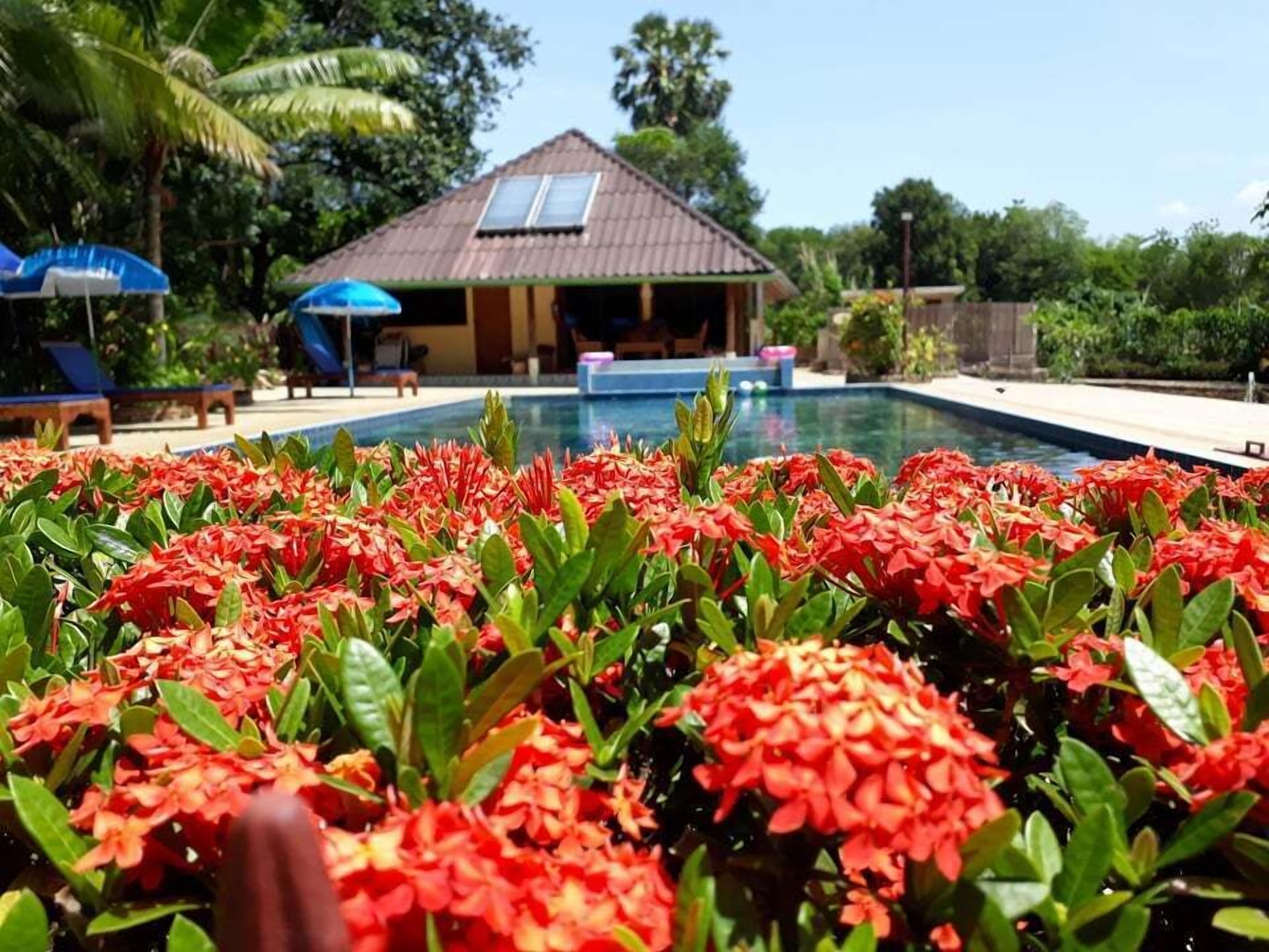 Kolam renang outdoor