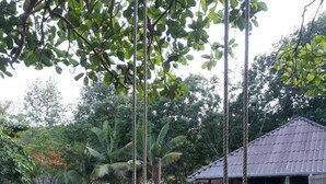 Imej tidak diklasifikasikan, 5 daripada 44, butang