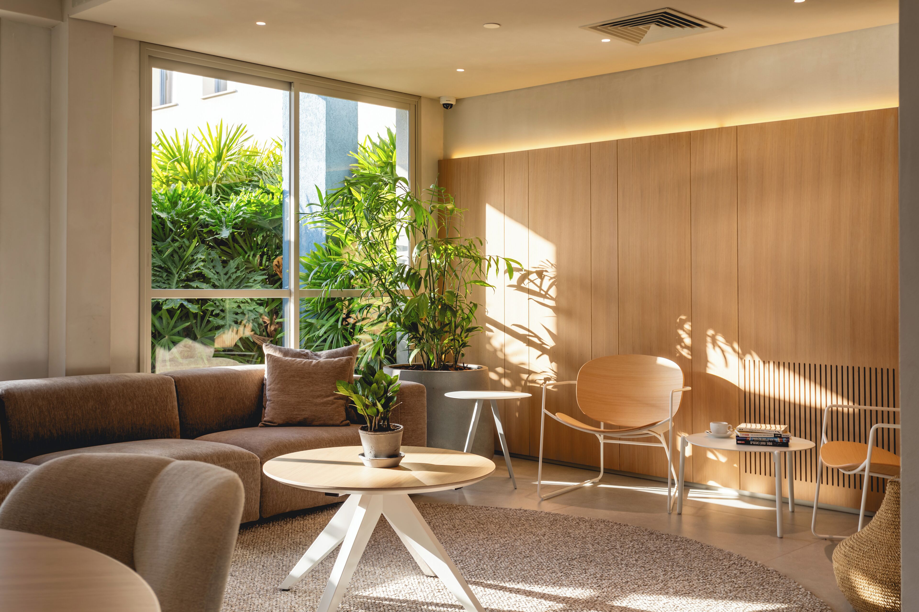 A modern living room with a sofa, a round coffee table, and a potted plant.