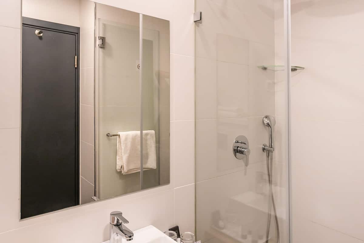 basic double room | bathroom | shower, towels, soap, shampoo