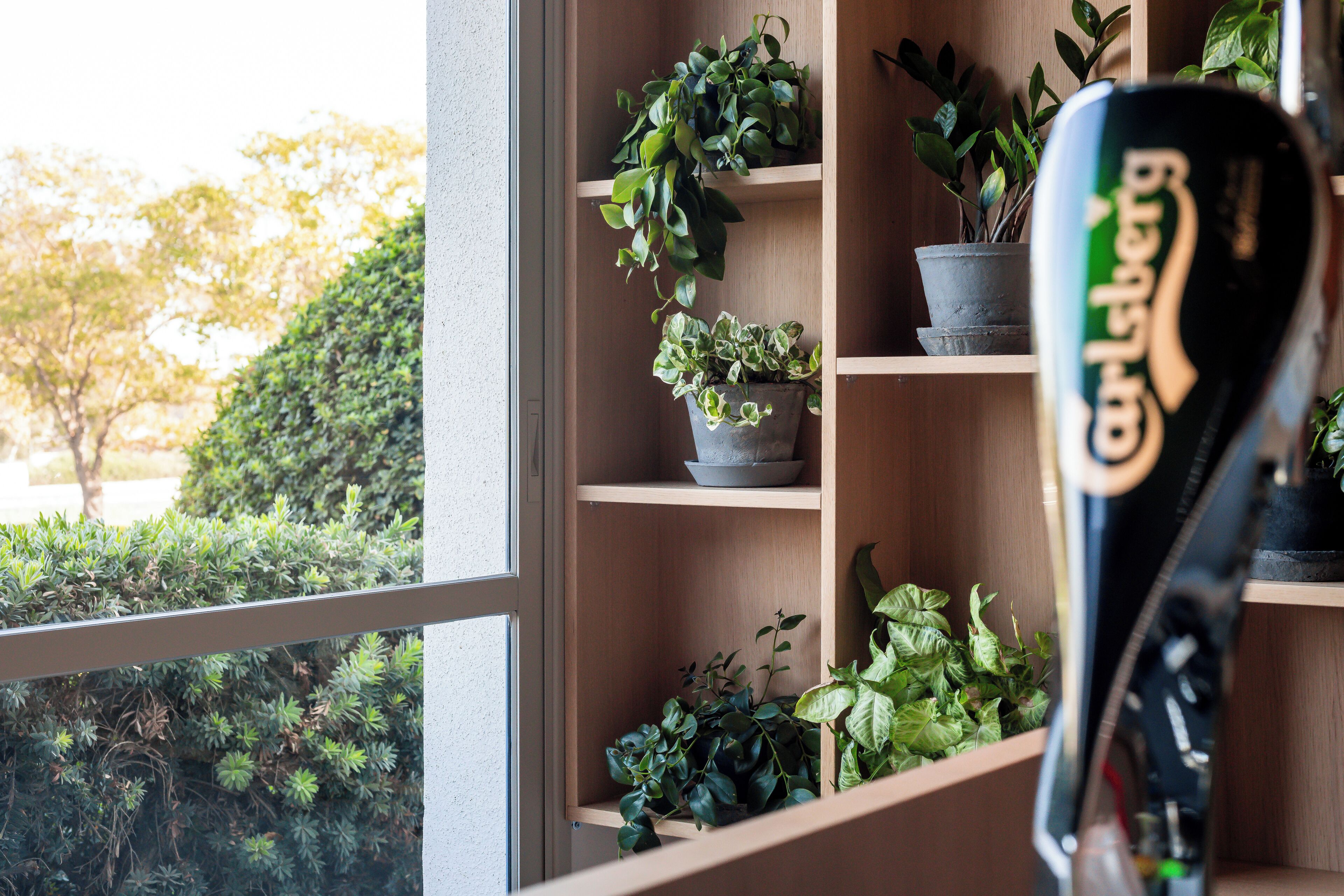 Een houten plank met planten in potten en een fiets.