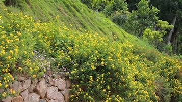 花園景