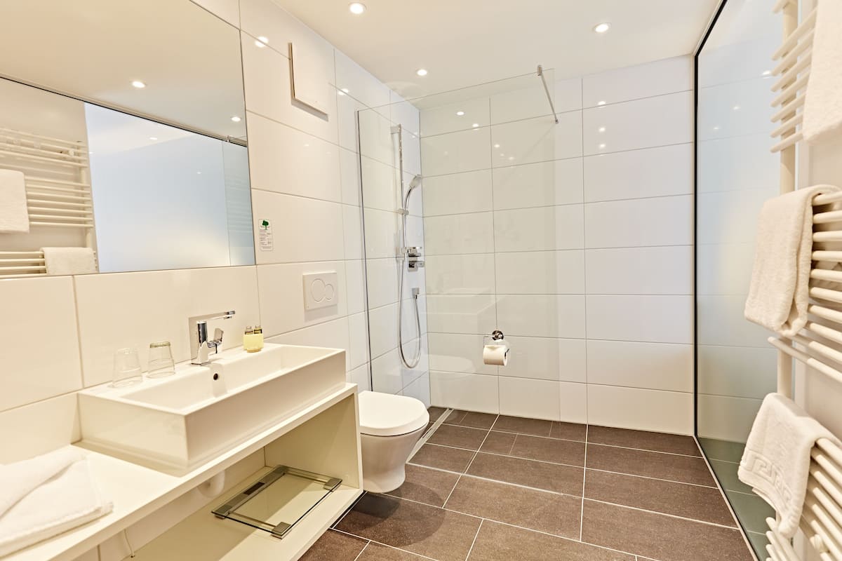 shower, free toiletries, hair dryer, bathrobes