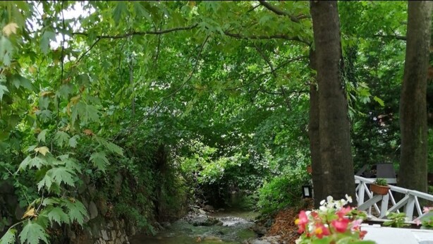 Garden - Beyaz Ev Butik Otel Masukiye (Kartepe)