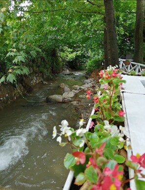Garden - Beyaz Ev Butik Otel Masukiye (Kartepe)