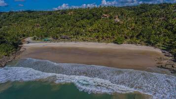 Una playa con aguas cristalinas, una orilla arenosa y un promontorio cubierto de bosque.