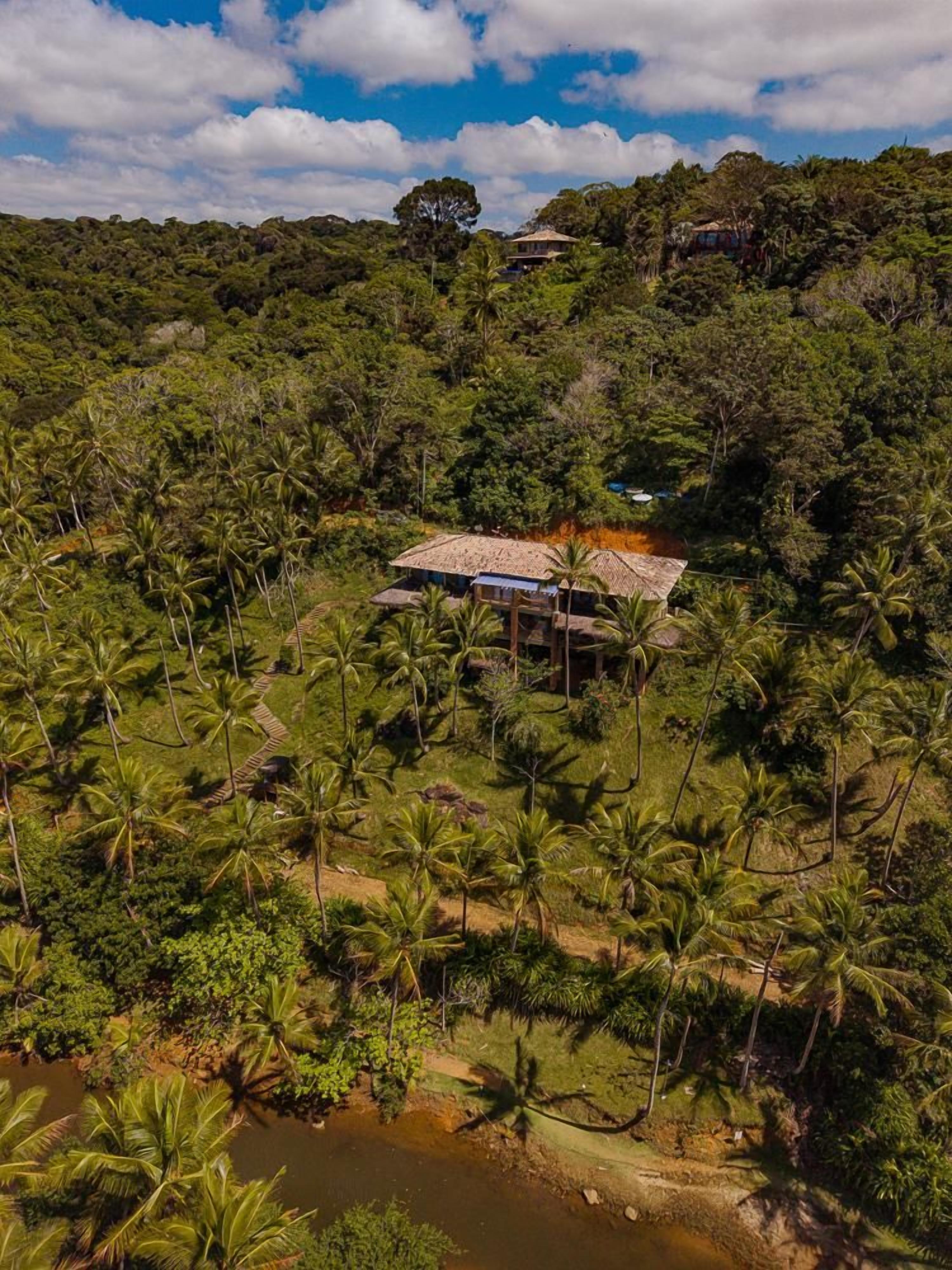 Un paisaje tropical con una casa rodeada de palmeras densas y un río.