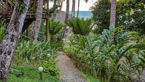 Un camino empedrado serpentea por un exuberante jardín con plantas tropicales y palmeras, dirigiéndose hacia una construcción de madera con vista al océano.