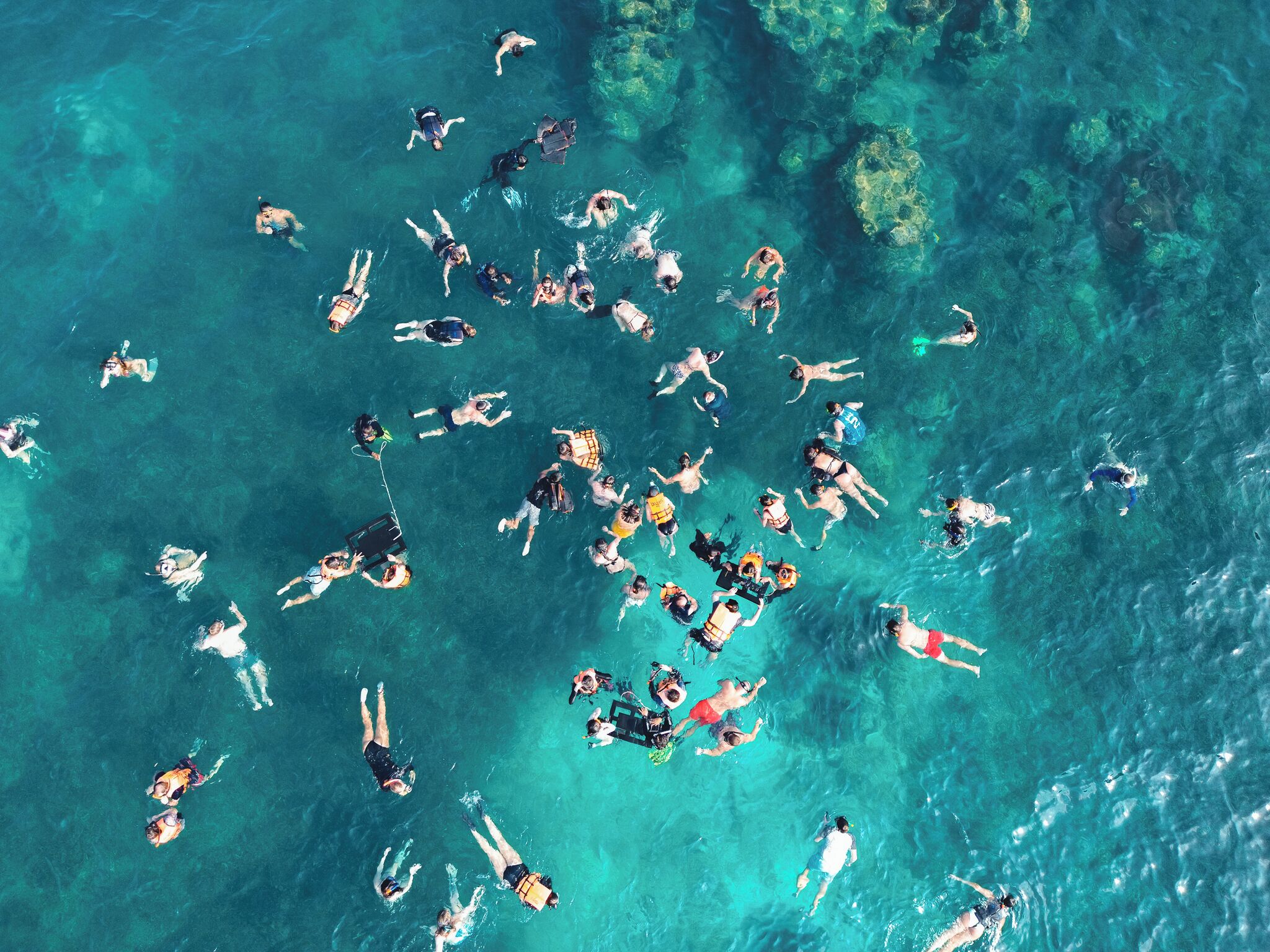 An aerial view of a group of people snorkeling in clear blue water.