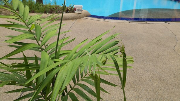 Exterior detail - Vitatree Cottage (Langkawi)