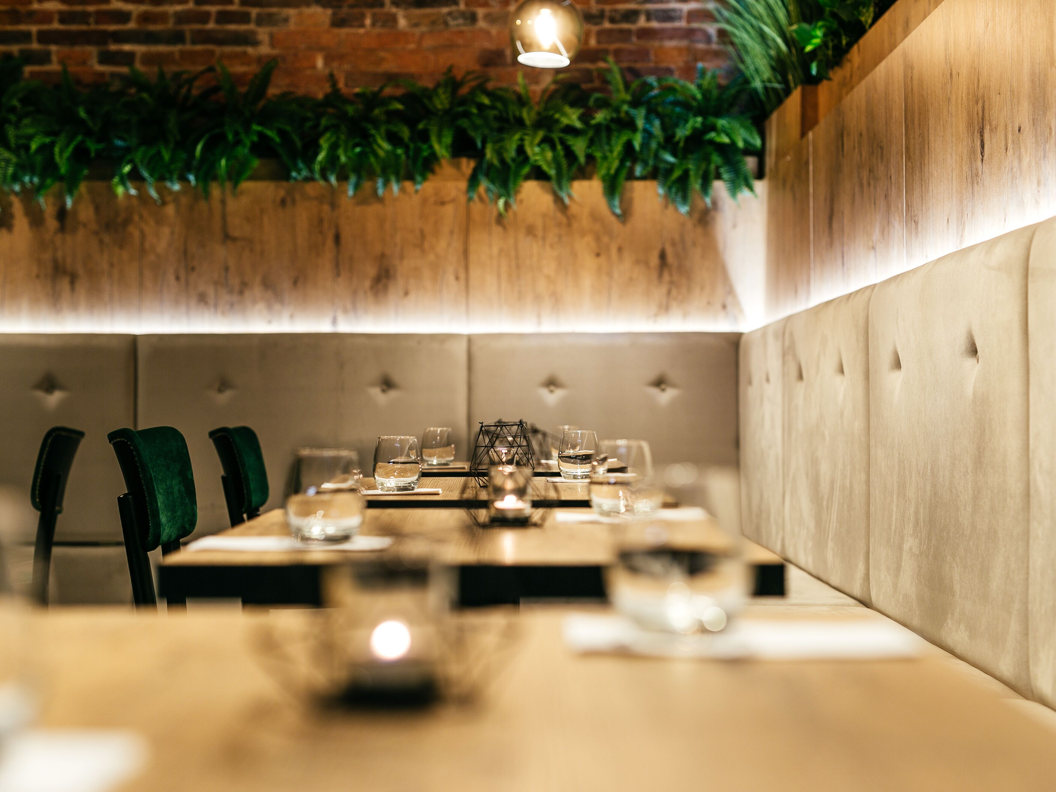 Een restaurant met een lange eettafel, bekleedde zithoeken en groene planten aan de muur.