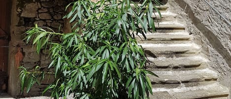 Double Room, Garden View | Terrace/patio