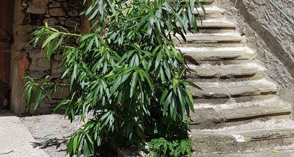 Le Moulin d'Onclaire Chambres d'hotes