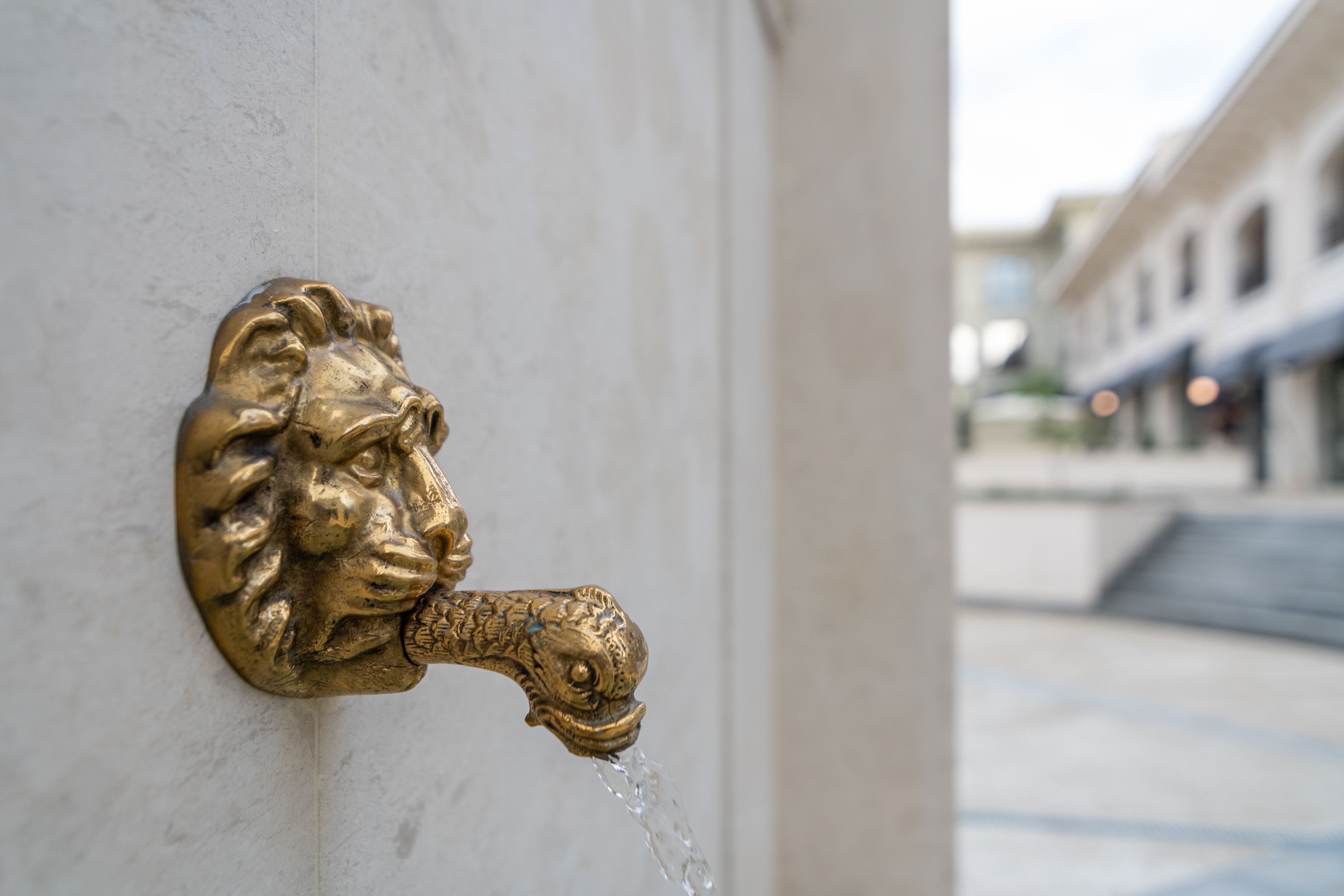 A brass water spigot with a lion's head design on a white wall.