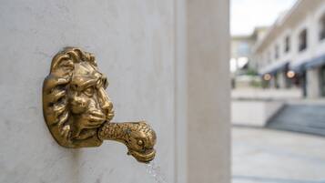 A brass water spigot with a lion's head design on a white wall.