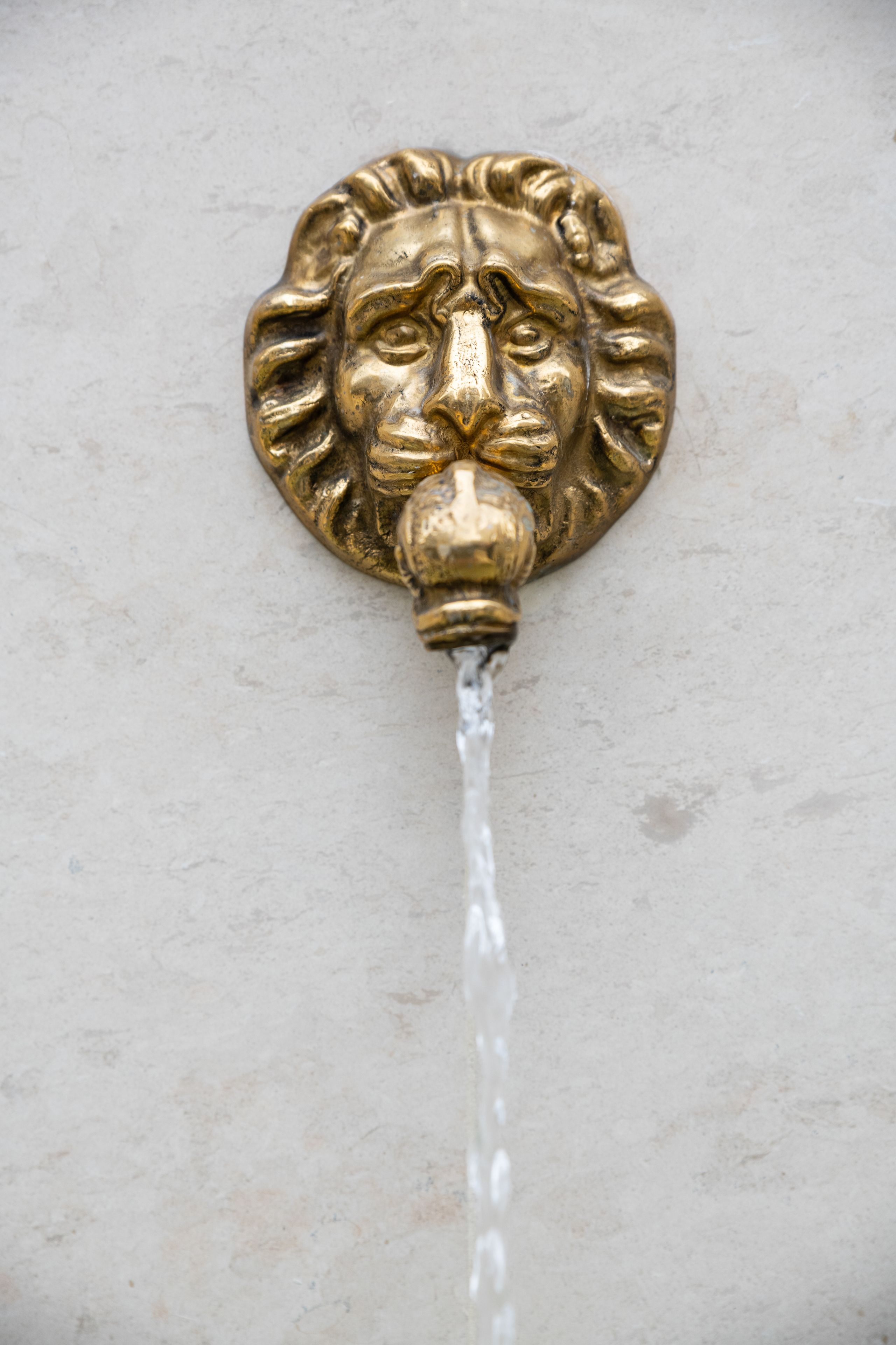 Un caño dorado con diseño de cabeza de león sobre una pared de color claro.