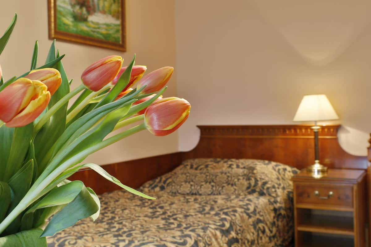Classic Single Room | 1 bedroom, minibar, in-room safe, desk