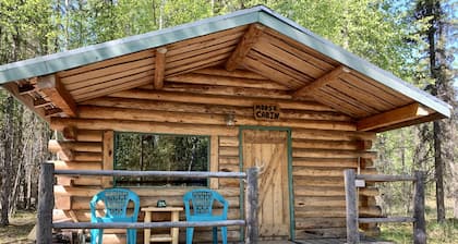 Cabine vicino al fiume Kenai