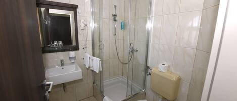 A bathroom with a glass-enclosed shower, a sink, a toilet, and a mirror.
