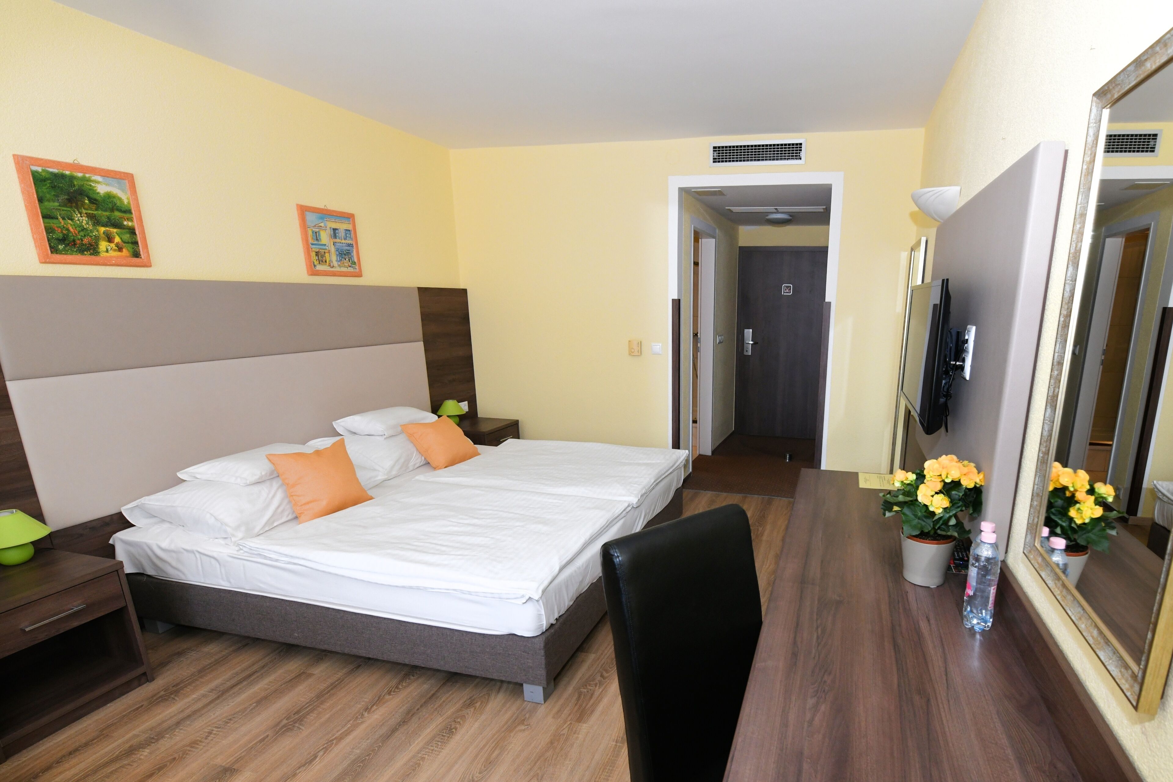Habitación de hotel con cama, mesitas de noche, escritorio, silla, espejo y dos plantas en macetas.