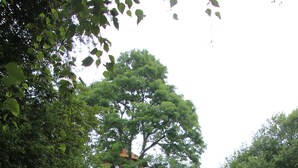 Familie-småhus, eget bad