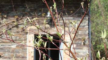 Family Cottage, Ensuite | 2 bedrooms