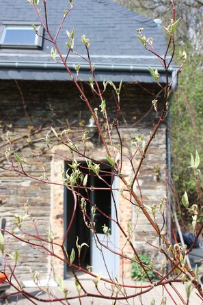 Casa de campo familiar, baño en la habitación | 2 habitaciones