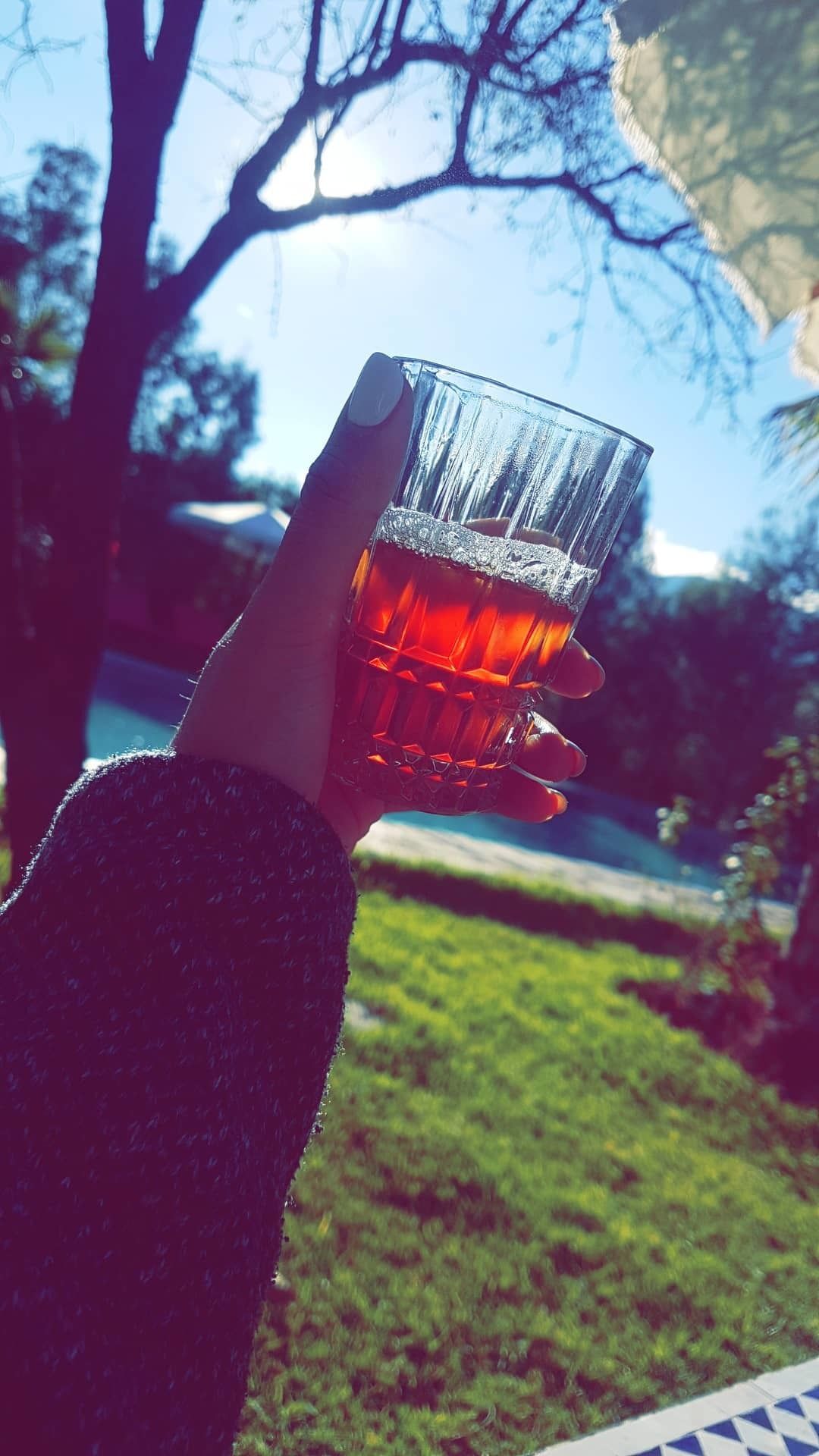 Une main tenant un verre contenant un liquide ambré, en extérieur, avec un arbre et un ciel dégagé en arrière-plan.