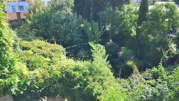 A lush garden area with dense foliage and trees, surrounded by buildings with red-tiled roofs.
