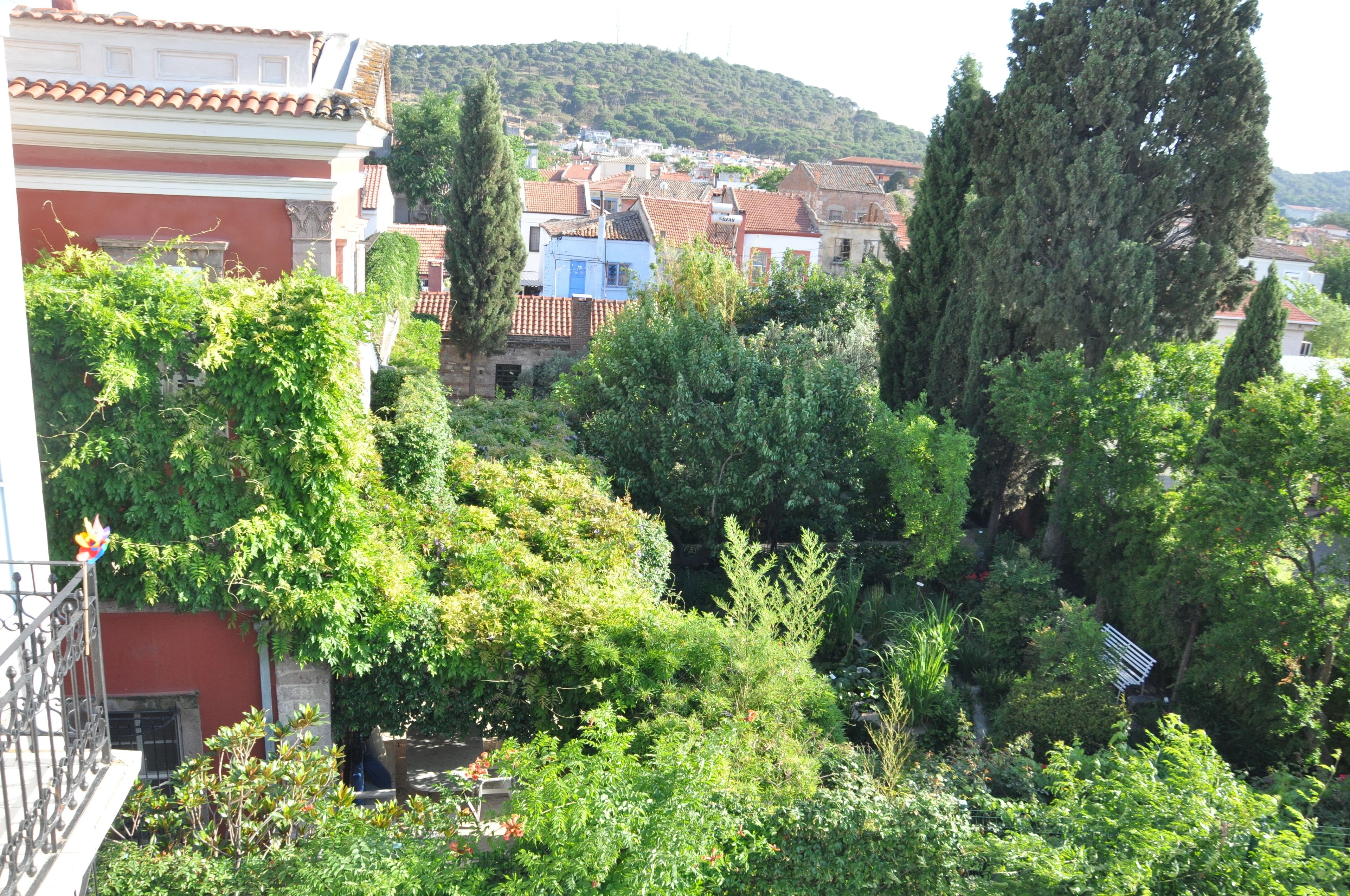 A courtyard with dense greenery, a red building, and a blue building in the background.