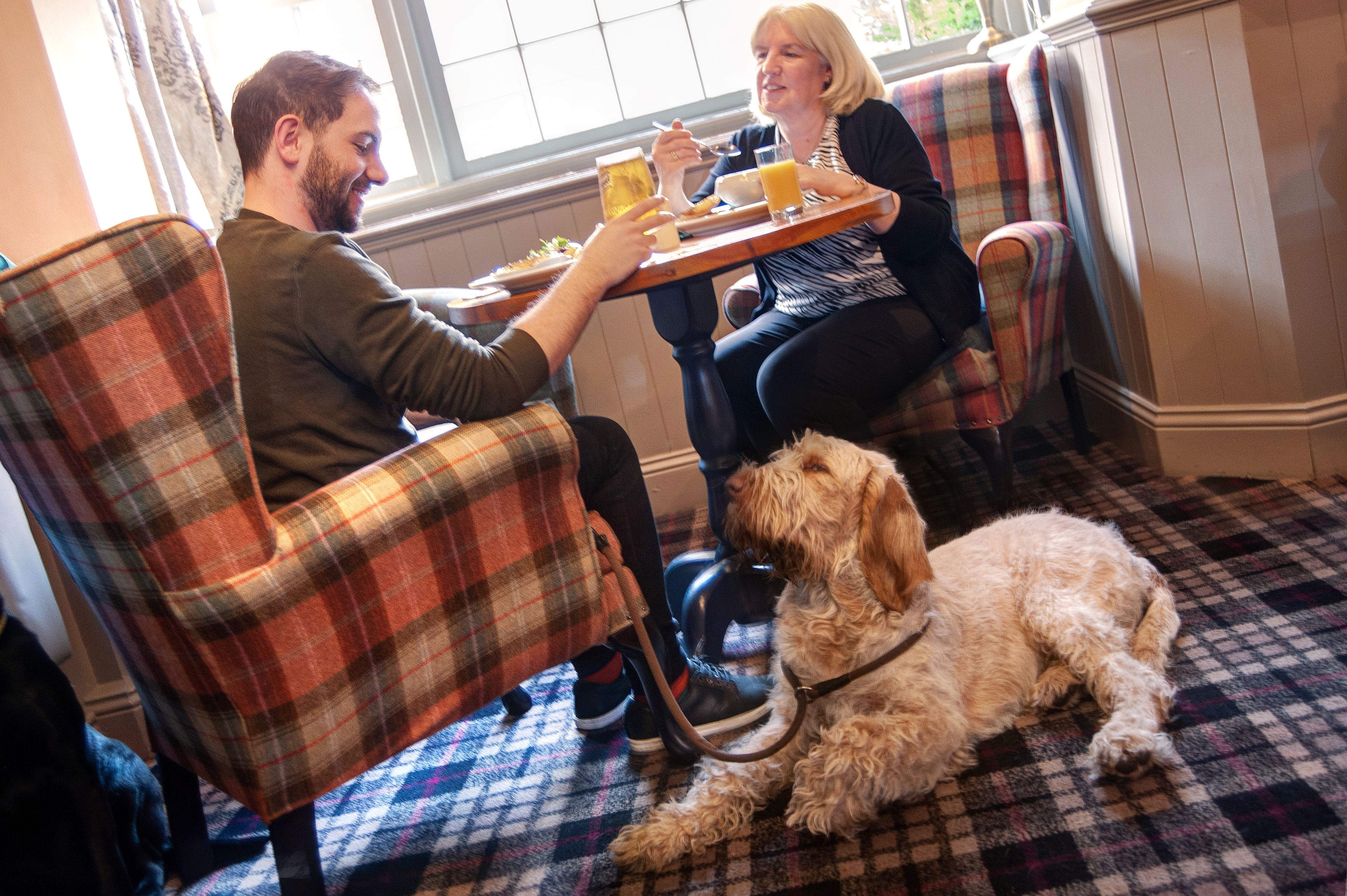 A dining area with plaid chairs, a table with food and drinks, and a dog on the floor.