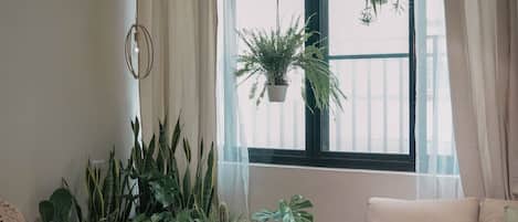 Vista desde la habitación