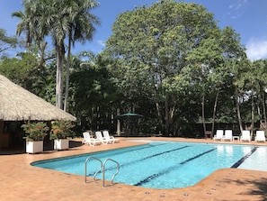 Outdoor pool, open 8:00 AM to 8:00 PM, pool loungers