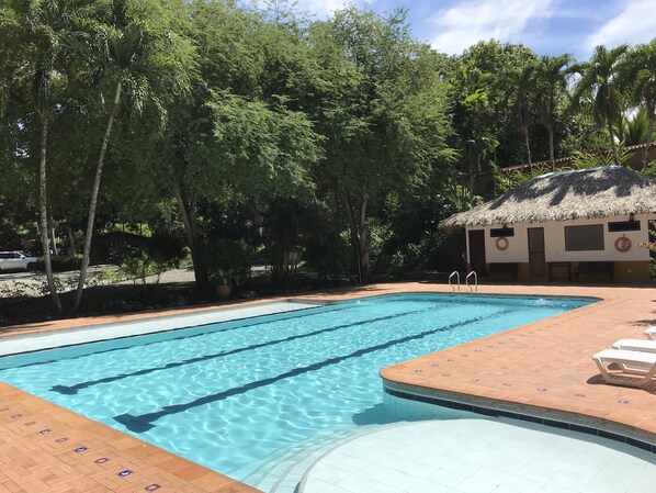 Outdoor pool, open 8:00 AM to 8:00 PM, pool loungers