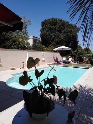 A swimming pool with a curved edge, surrounded by a low wall, and potted plants in the foreground. - Small 30m2 house for 2 people on private property with swimming pool (Fréjus)