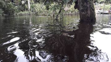Llac
