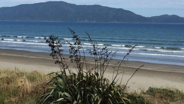 Uma praia com ondas, uma montanha ao fundo e vegetação em primeiro plano.