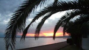 Une vue sur le coucher de soleil, avec des palmiers et une mer calme.